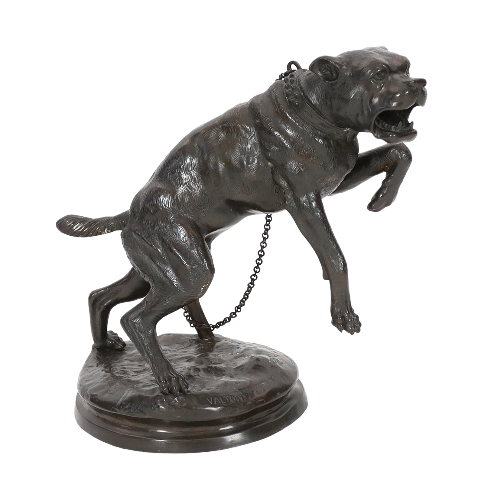 After Charles Valton (French, 1851-1819), a bronze model of a lunging Mastiff 'Passez au Large', 63cm wide, 59cm high